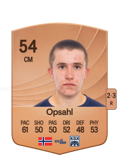 Herman Sjåvik Opsahl card