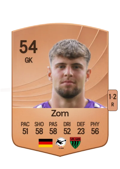 Emil Zorn card
