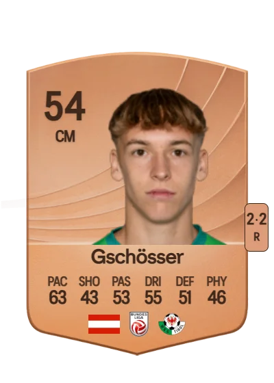 Raphael Gschösser card