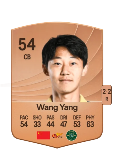 Yang Wang card