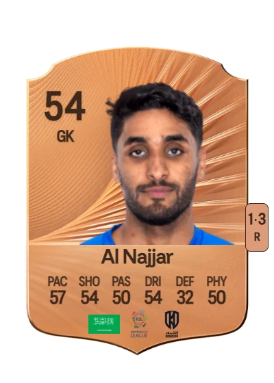 Rakan Al Najjar card