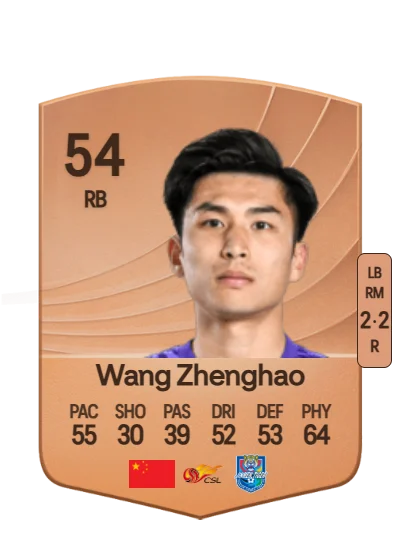 Zhenghao Wang card