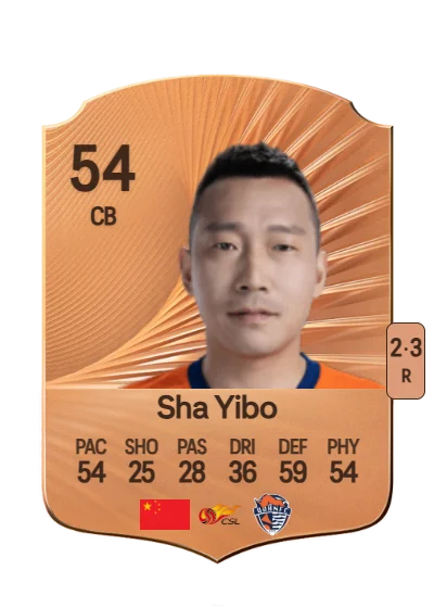 Yibo Sha card
