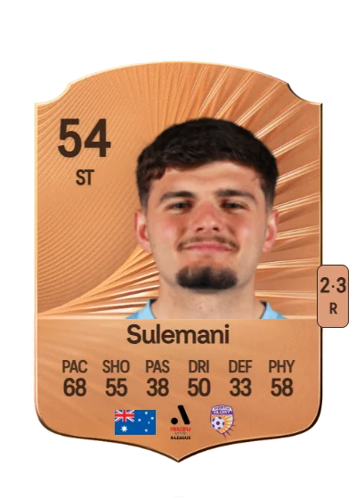 Arion Sulemani card