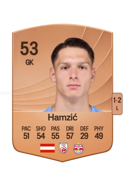 Salko Hamzić card