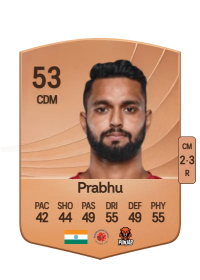 Nikhil Prabhu card