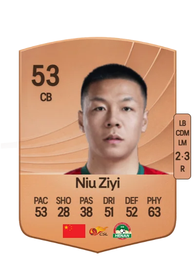 Ziyi Niu card