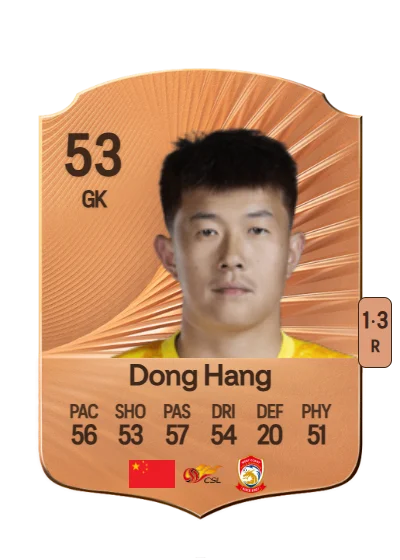 Hang Dong card