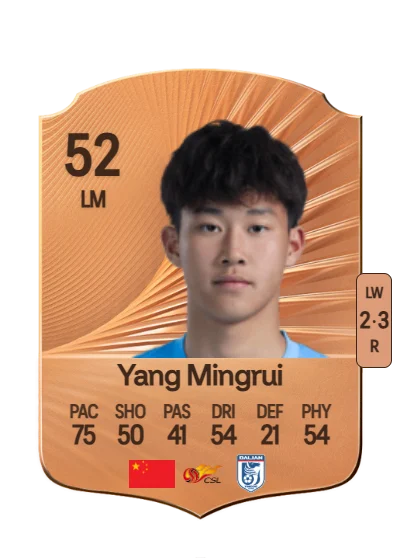 Mingrui Yang card