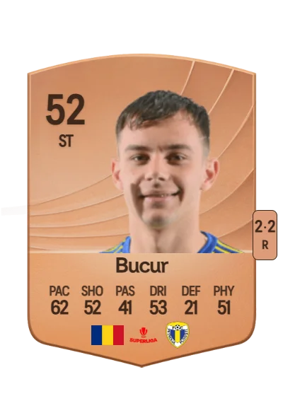 Raul Bucur card