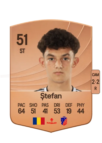 Denis Ștefan card