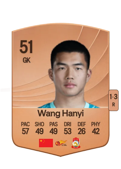 Hanyi Wang card