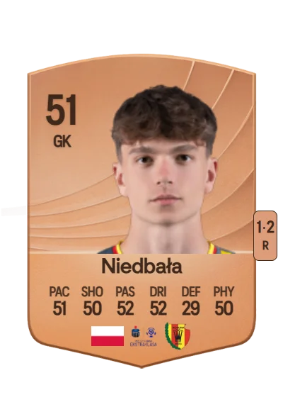 Michał Niedbała card