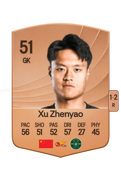 Zhenyao Xu card