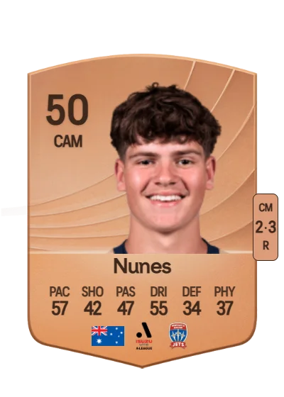 Alex Nunes card