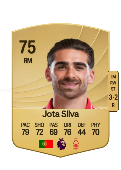 João Pedro Ferreira Silva card