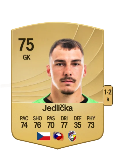 Martin Jedlička card