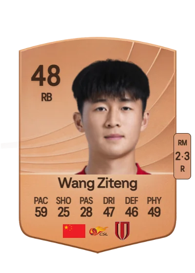 Ziteng Wang card