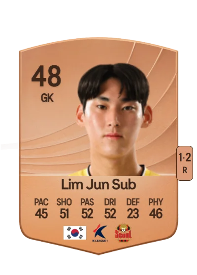 Jun Sub Lim card