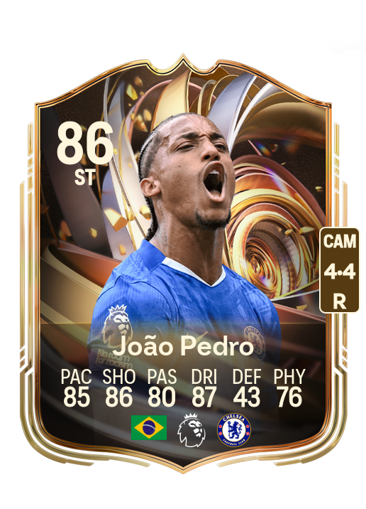 João Pedro Junqueira de Jesus