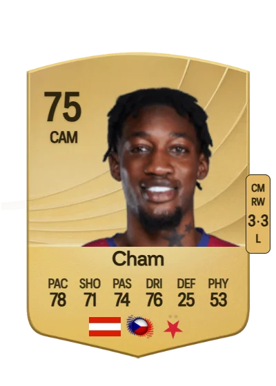 Muhammed Cham card