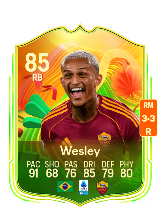 Wesley Vinícius França Lima