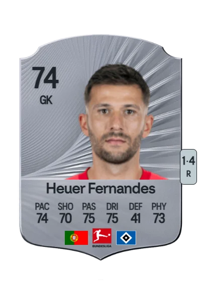 Daniel Heuer Fernandes card