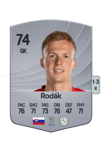 Marek Rodák card