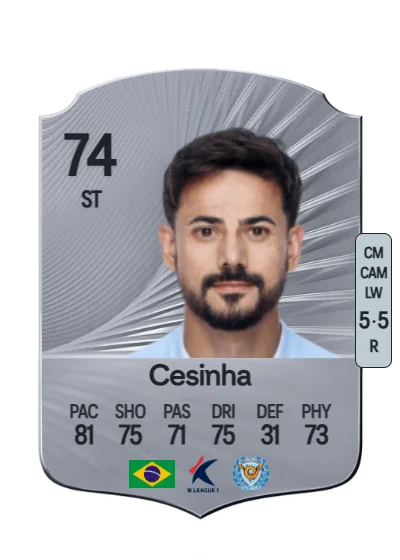 Cesar Fernando Silva Melo card