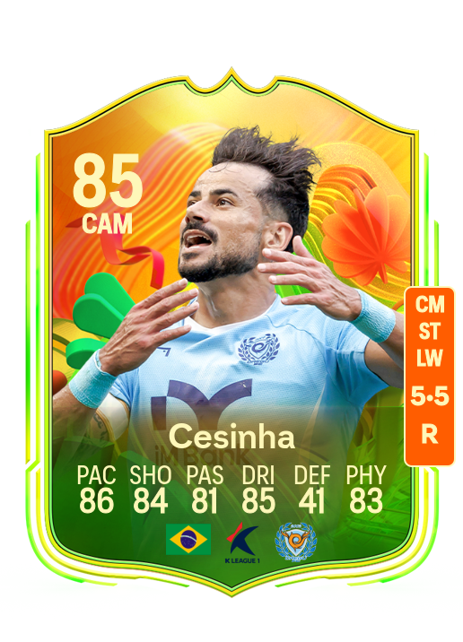 Cesar Fernando Silva Melo