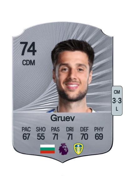 Ilia Gruev card