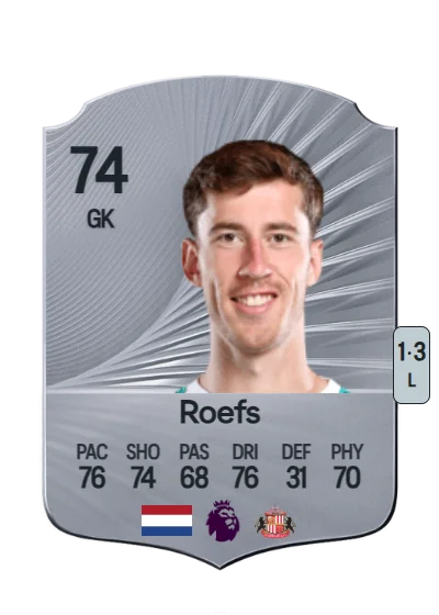 Robin Roefs card