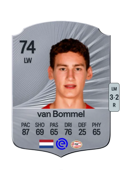 Ruben van Bommel card