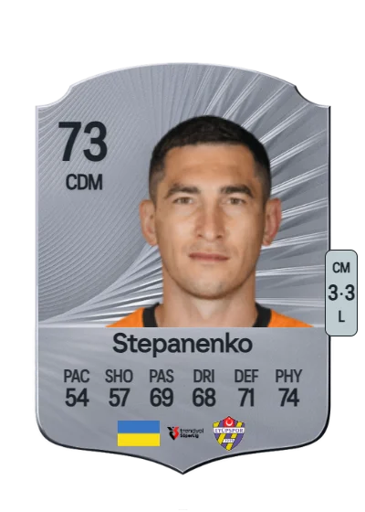 Taras Stepanenko card