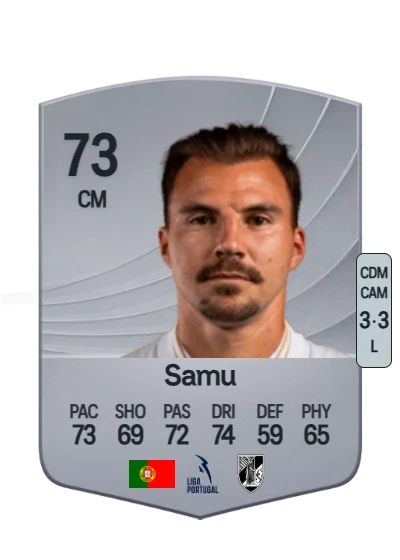 Fábio Samuel Amorim Silva card