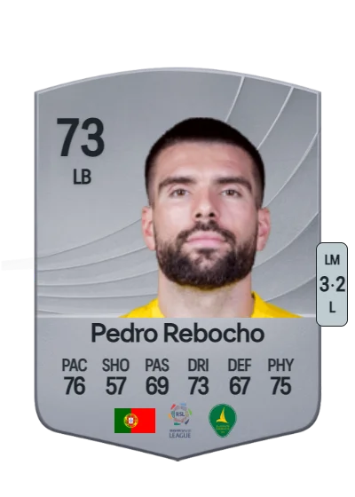 Pedro Miguel Braga Rebocho card