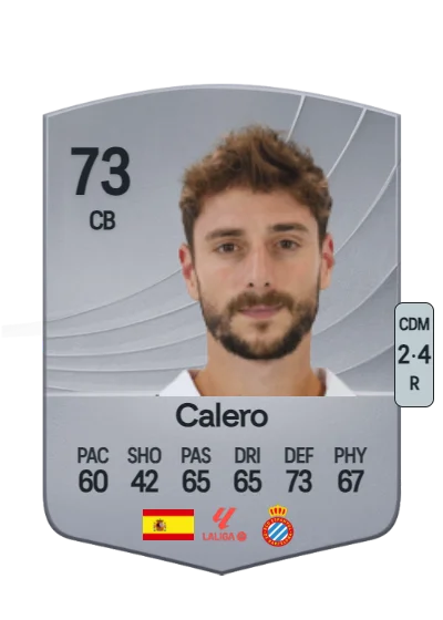 Fernando Calero Villa card
