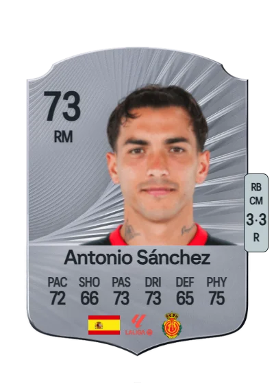 Antonio Sánchez Navarro card