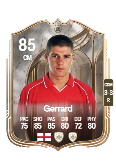 Steven Gerrard card