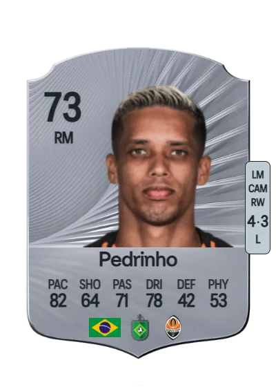 Pedro Victor Delmino da Silva card