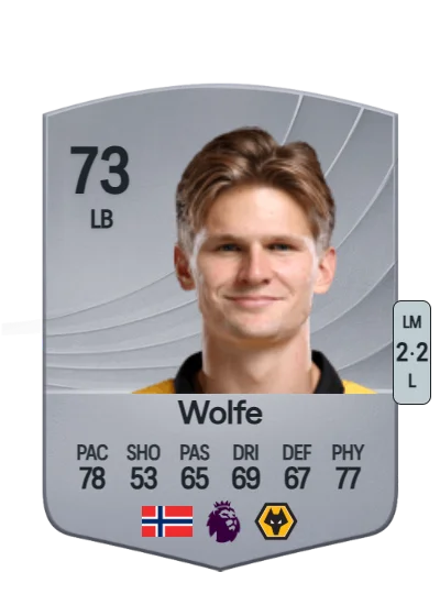 David Møller Wolfe card