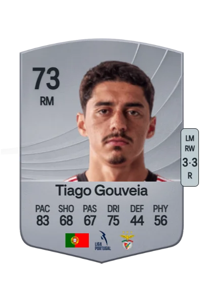 Tiago Maria Antunes Gouveia card