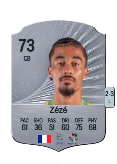 Nathan Zézé card