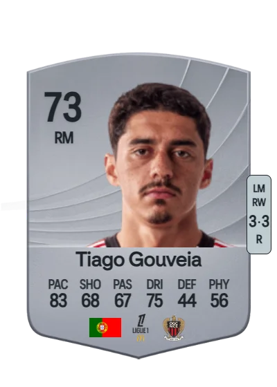 Tiago Maria Antunes Gouveia card
