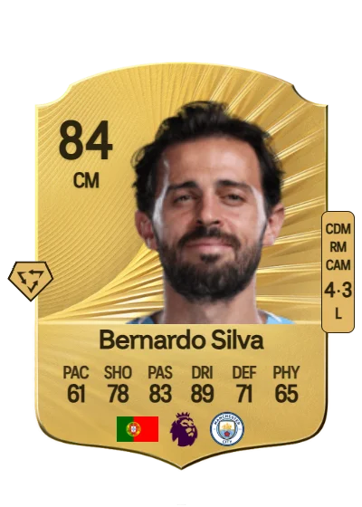 Bernardo Mota Carvalho e Silva card