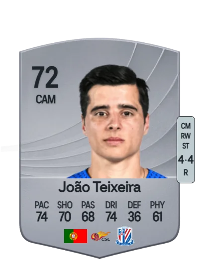 João Carlos Vilaça Teixeira card