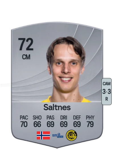 Ulrik Saltnes card
