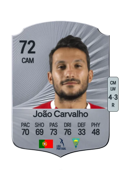 João António Antunes Carvalho card
