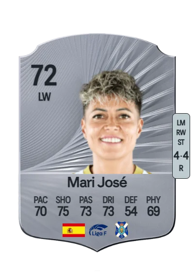 María José Pérez González card