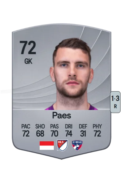Maarten Paes card
